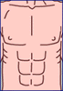 buttocks