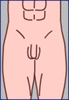 sulcus coronarius