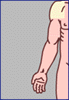 shoulder region