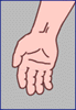 digital metacarpo-phalangeal joint