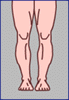 legs