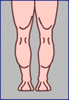legs