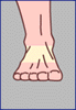back of the feet