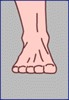 toenail